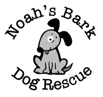 Bark animal hot sale rescue